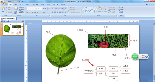PPT如何制作結構圖？PPT制作結構圖教程