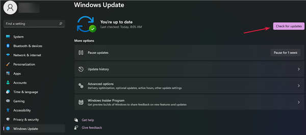 怎么檢查Windows11中的新更新？