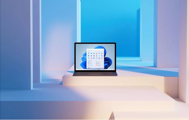 Win11正式版值得更新嗎 有必要更新Win11正式版嗎