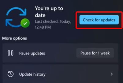 Win11更新卡在0%怎么辦？Win11更新卡在0%解決方法