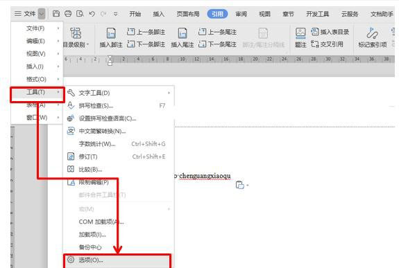 WPS/Word如何去除煩人的波浪線？兩步輕松去掉WPS/Word波浪線