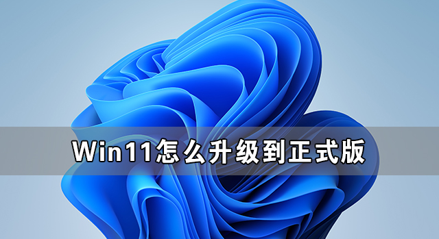 Win11怎么升級(jí)到正式版 Win11升級(jí)正式版的方法介紹