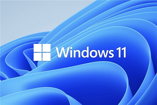 Win11外接顯示器沒反應怎么辦?