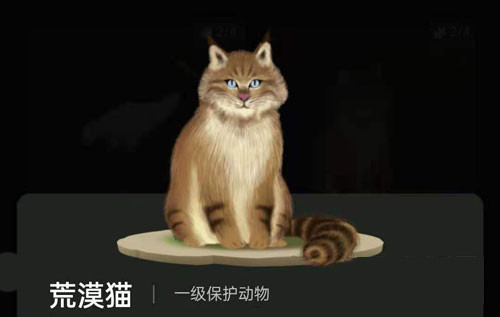 螞蟻森林里的小動物怎么獲得？螞蟻森林里的小動物有哪些？
