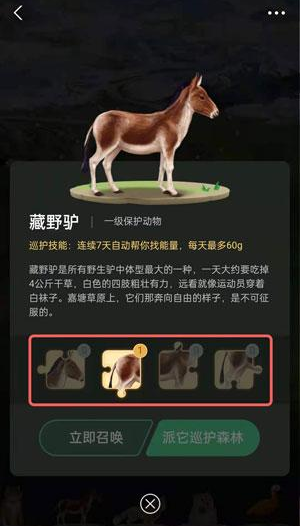 螞蟻森林里的小動物怎么獲得？螞蟻森林里的小動物有哪些？