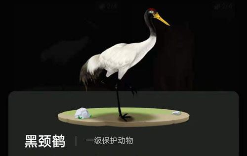 螞蟻森林里的小動物怎么獲得？螞蟻森林里的小動物有哪些？