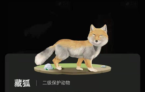 螞蟻森林里的小動物怎么獲得？螞蟻森林里的小動物有哪些？
