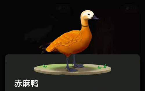 螞蟻森林里的小動物怎么獲得？螞蟻森林里的小動物有哪些？