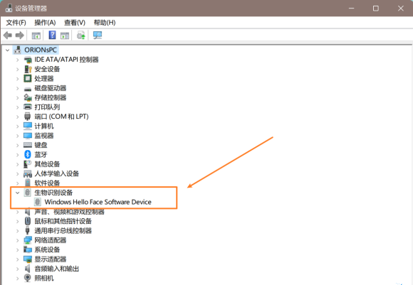 Win11無(wú)法使用面部識(shí)別怎么解決?