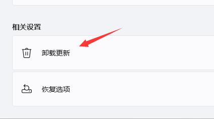 Win11開機(jī)閃屏怎么辦？Win11開機(jī)閃屏的解決方法