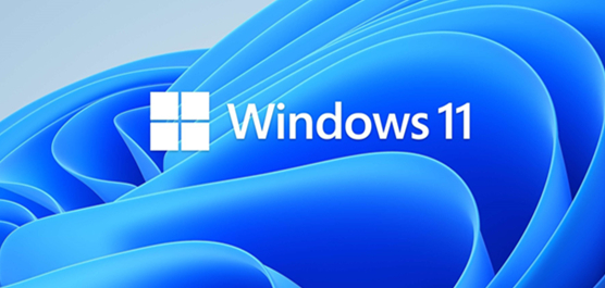 怎么免安裝體驗(yàn)Win11?免安裝體驗(yàn)Win11的方法