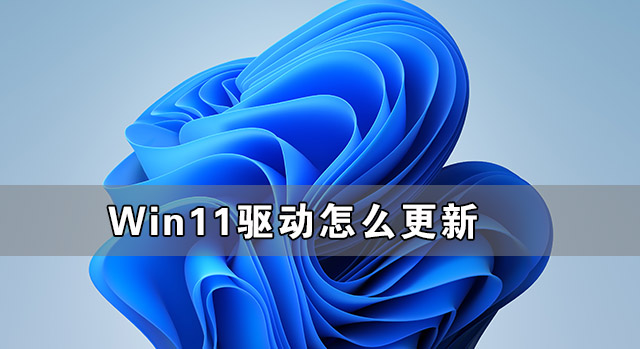 Win11驅(qū)動不兼容怎么辦 Win11驅(qū)動怎么更新和安裝