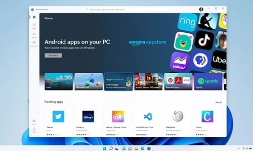 Win11提示無法安裝程序包怎么辦？Win11提示無法安裝程序包的解決方法
