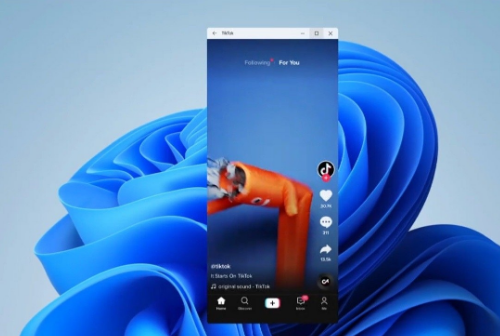 Win11怎么下載安卓應(yīng)用 Win11怎么安裝安卓APP