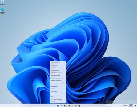 Win11如何去除快速搜索功能？