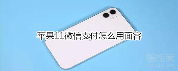 蘋(píng)果11微信支付怎么用面容