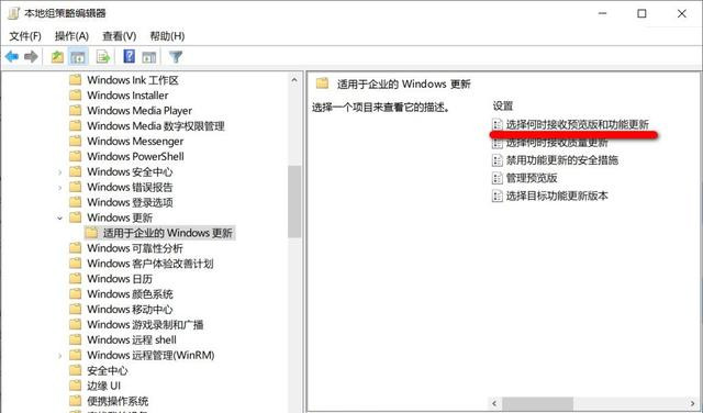 如何阻止電腦自動升級到Win10 21H1版本?