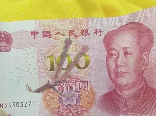 怎么能用QQ看到100元人民幣里的吉祥鳳凰？
