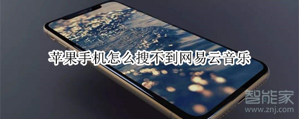 蘋果手機(jī)怎么搜不到網(wǎng)易云音樂