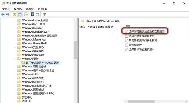 怎么阻止更新至Win10 20H2？