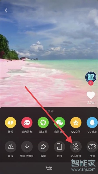 iphone11Pro怎么設(shè)置抖音動態(tài)壁紙