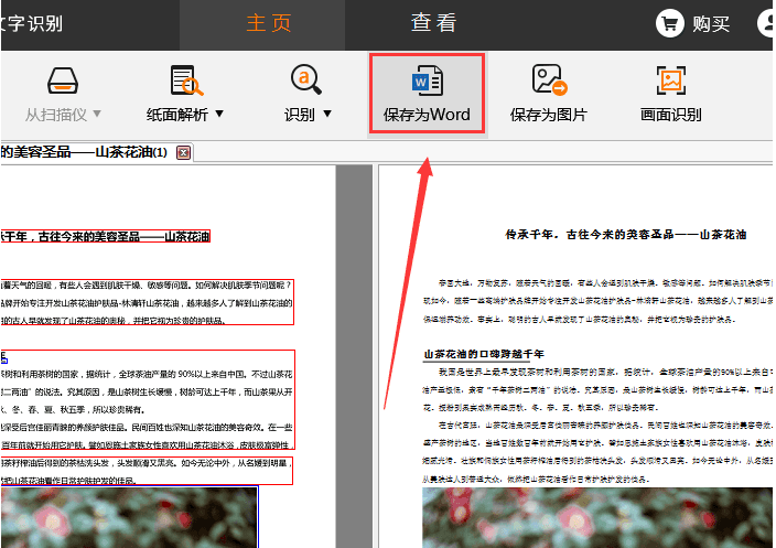捷速OCR文字識(shí)別軟件怎么把PDF圖片轉(zhuǎn)為Word文字?PDF圖片轉(zhuǎn)為Word文字步驟一覽