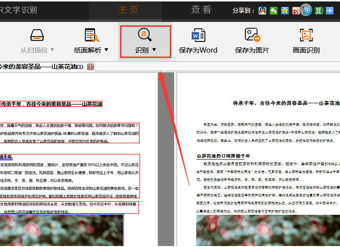 捷速OCR文字識(shí)別軟件怎么把PDF圖片轉(zhuǎn)為Word文字?PDF圖片轉(zhuǎn)為Word文字步驟一覽