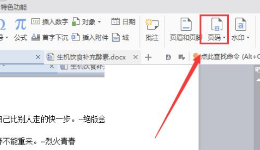 wps2007如何插入頁碼？wps2007插入頁碼圖文介紹