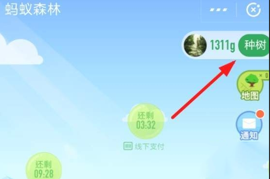 在支付寶里怎么認領(lǐng)螞蟻森林保護地?認領(lǐng)螞蟻森林保護地的方法介紹