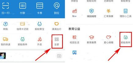 在支付寶里怎么將行走捐打開？將行走捐打開的步驟一覽
