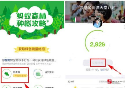在支付寶里怎么將行走捐打開？將行走捐打開的步驟一覽