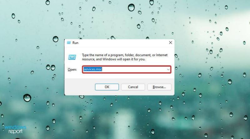 Win11中觸摸板不工作怎么辦？Win11中觸摸板不工作修復方法