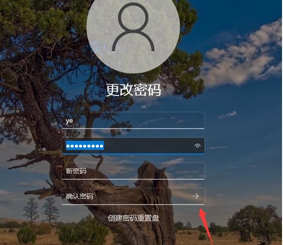 Win11不要密碼怎么設置?Win11取消密碼登錄的步驟教程