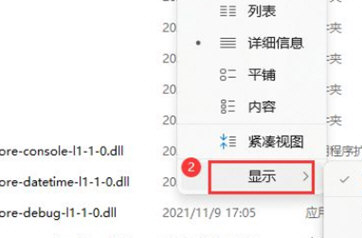 Win11如何展示文件擴(kuò)展名？Win11展示文件擴(kuò)展名的方法