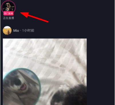 抖音怎么加入粉絲團？加入粉絲團方法說明