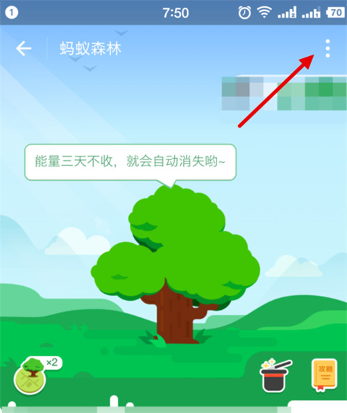 支付寶螞蟻森林能量值怎樣隱藏？隱藏森林能量值方法分享
