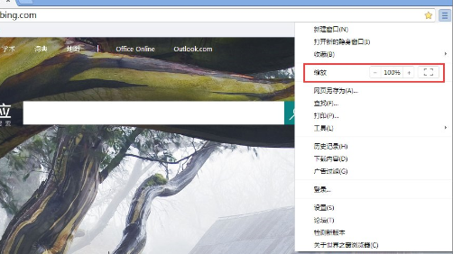 Win10中設(shè)置世界之窗瀏覽器縮放顯示具體操作方法