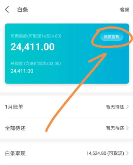 京東金融APP調(diào)整白條固定額度操作過程