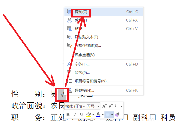 wps中方框內(nèi)打勾詳細操作流程