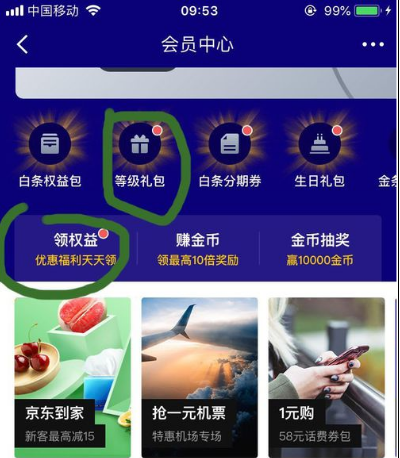 京東白條臨時(shí)額度不見了怎么辦
