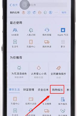 使用支付寶刷臉支付的詳細(xì)操作
