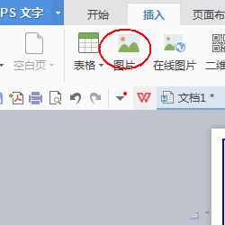 使用wps設計出一款簡約派簡歷具體操作步驟