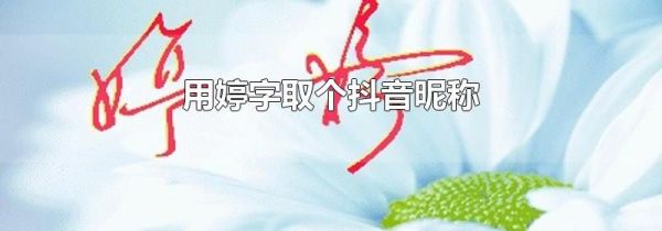 用婷字取個(gè)抖音昵稱