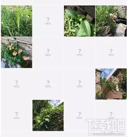 Win10查看不了HEIC圖片格式怎么辦？iOS 11圖片問(wèn)題解決教程