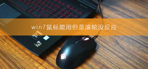 win7鼠標(biāo)能用但是滾輪沒(méi)反應(yīng)