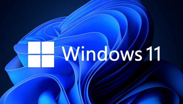 Windows11優(yōu)化磁盤驅(qū)動技巧分享