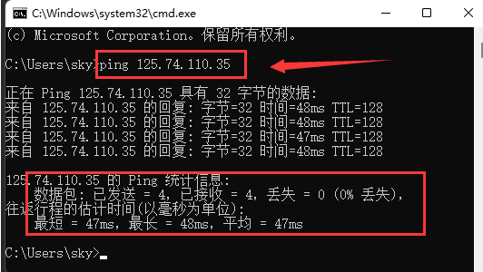 Windows11測(cè)試網(wǎng)絡(luò)地址延遲步驟介紹
