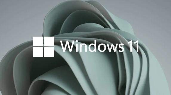 Windows11設(shè)置虛擬內(nèi)存技巧分享