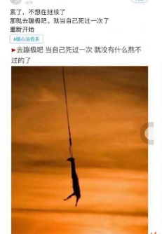 抖音長(zhǎng)頸鹿上吊什么梗_長(zhǎng)頸鹿上吊什么意思