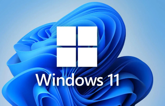 Win11遠程連接發(fā)現(xiàn)沒有聲音如何處理